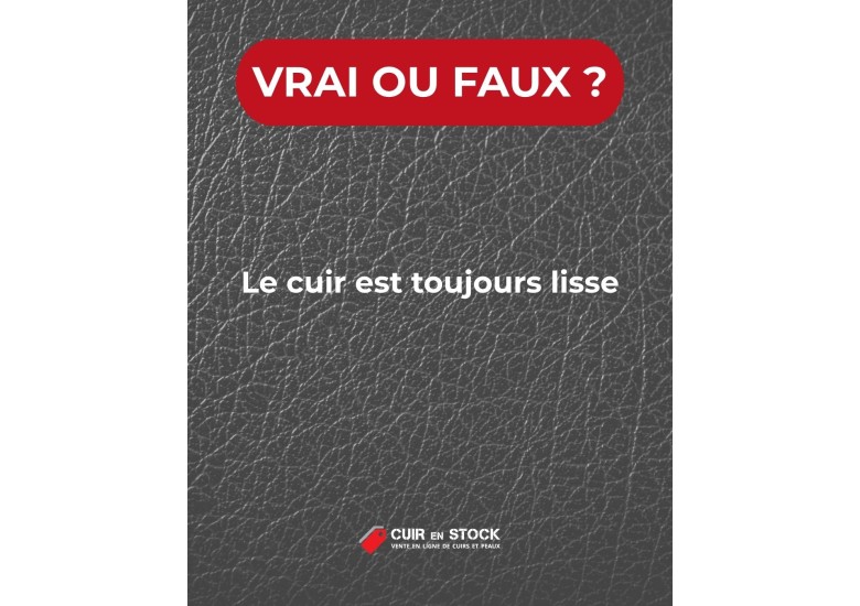 Quiz du cuir QUESTION 27. Le cuir est toujours lisse