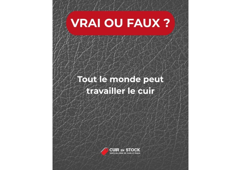 Quiz du cuir QUESTION 30. Tout le monde peut travailler le cuir