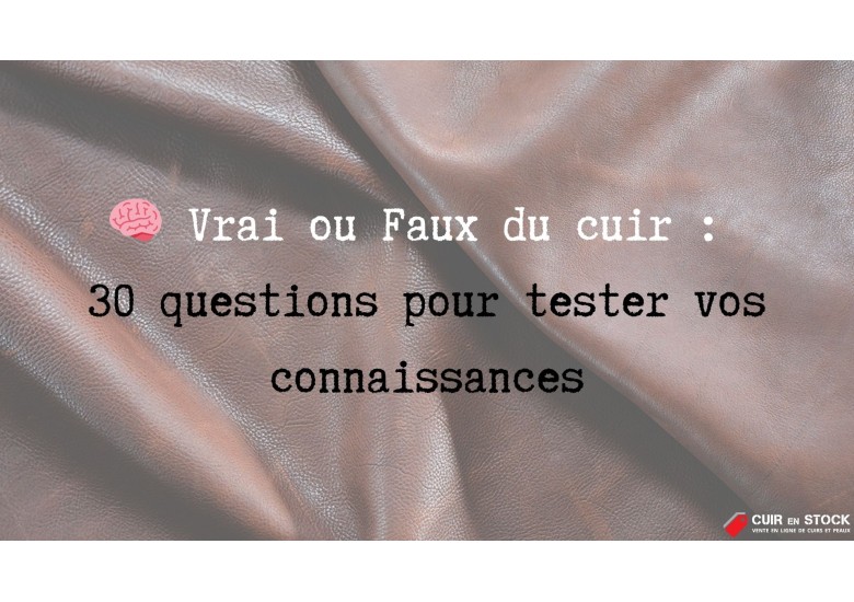 Quiz cuir : 30 questions Vrai ou Faux pour tout savoir sur le cuir et la maroquinerie